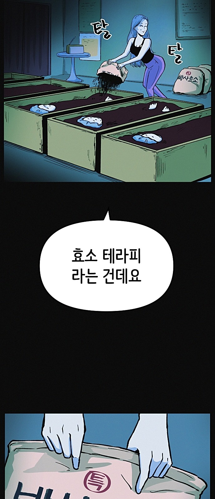 20 페이지