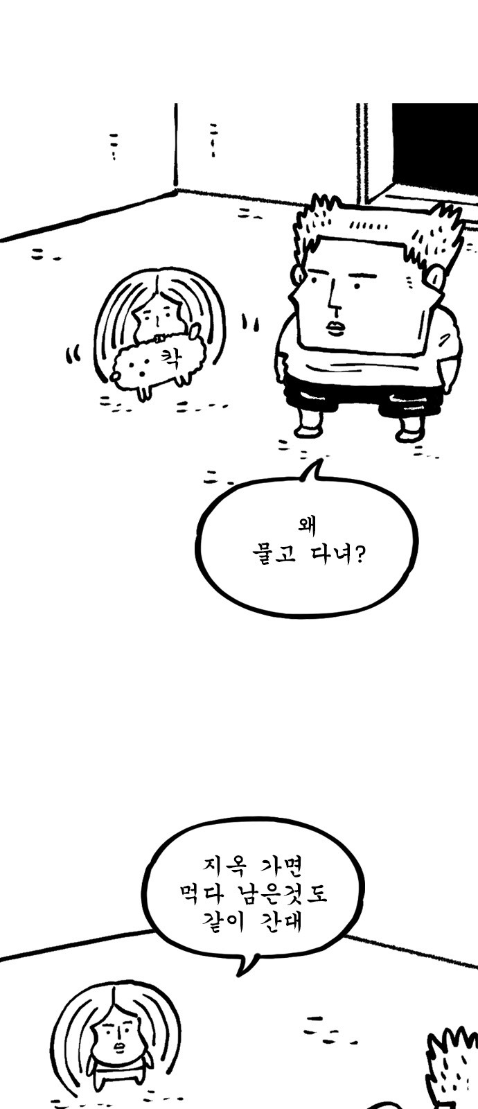 5 페이지