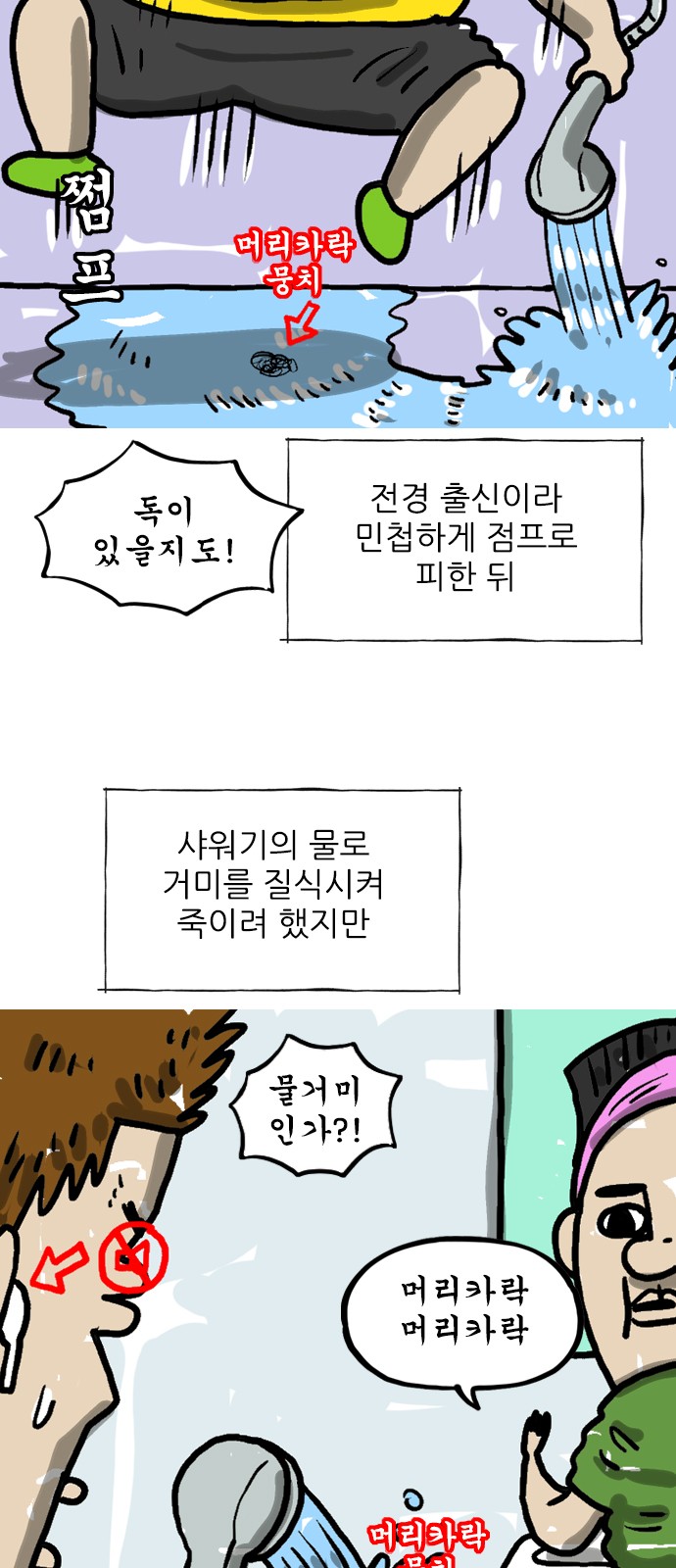5 페이지