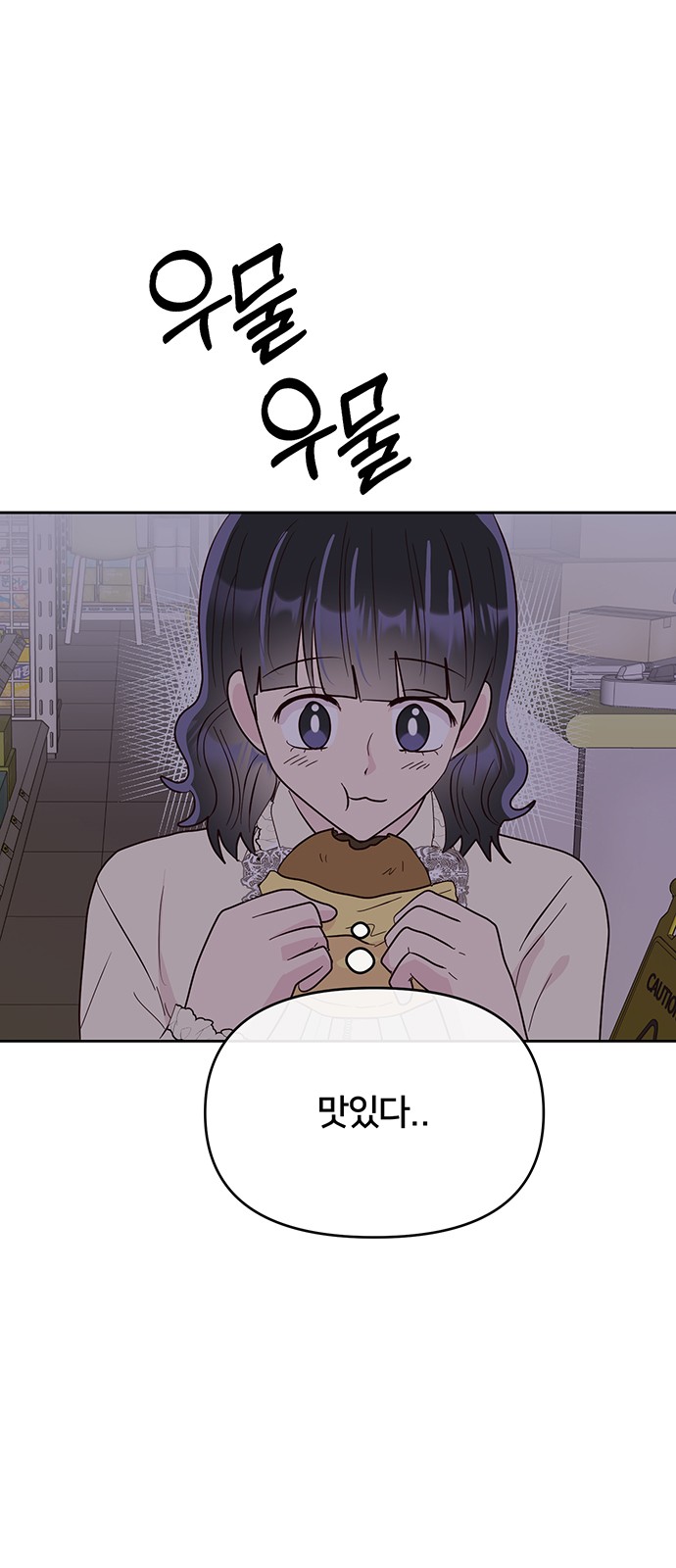 13 페이지