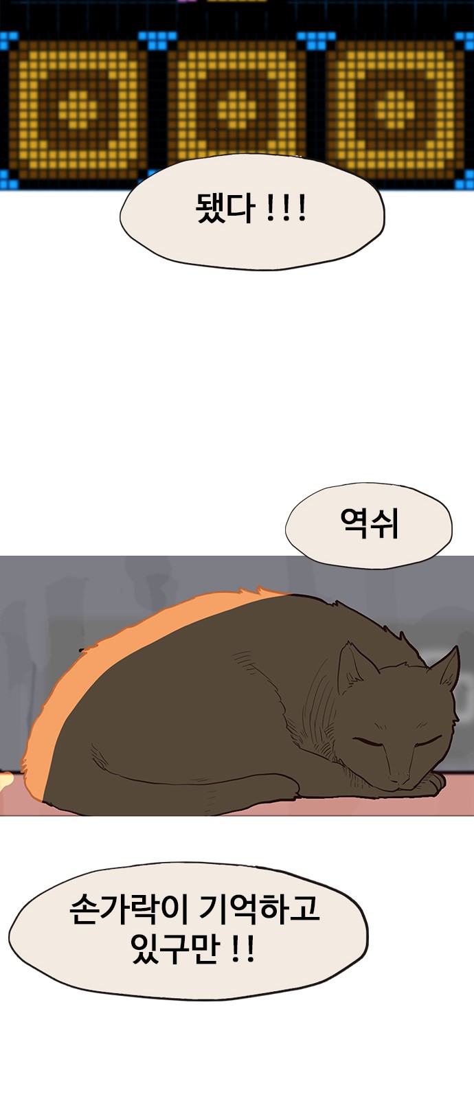 91 페이지