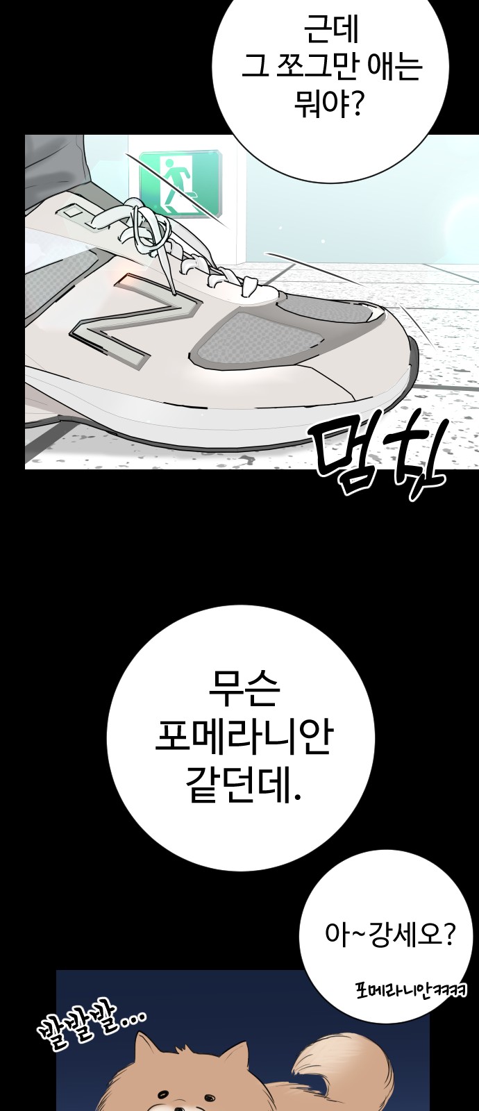 35 페이지