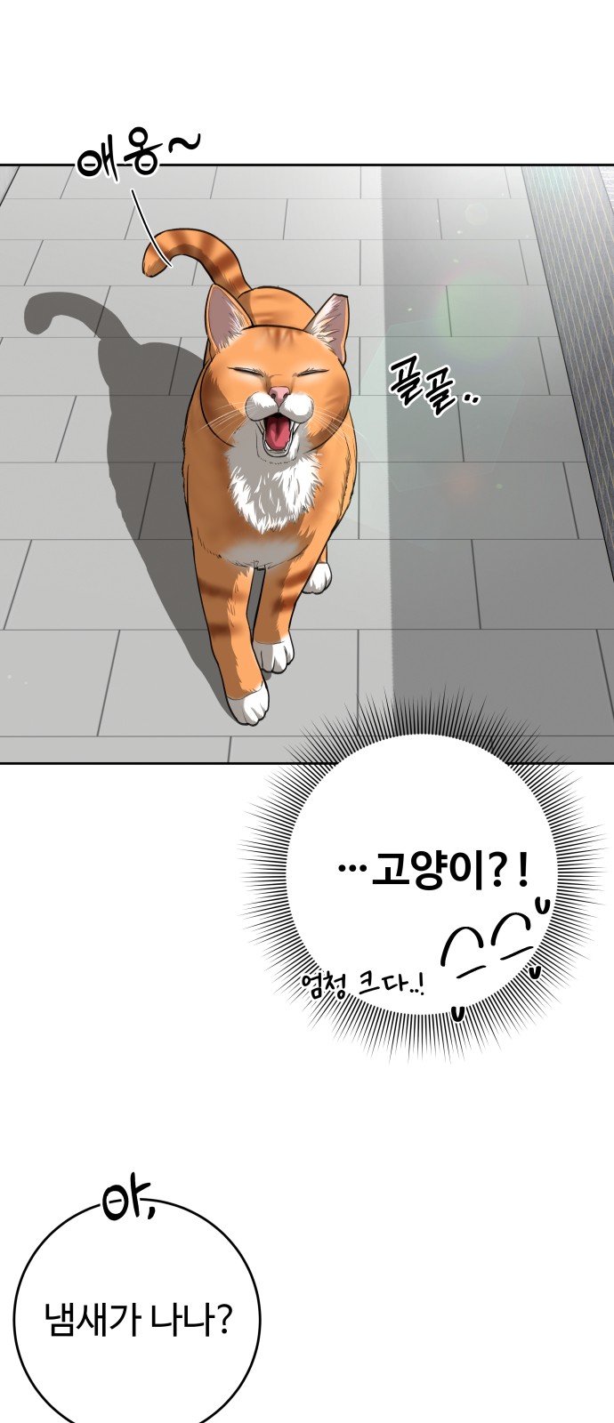 31 페이지