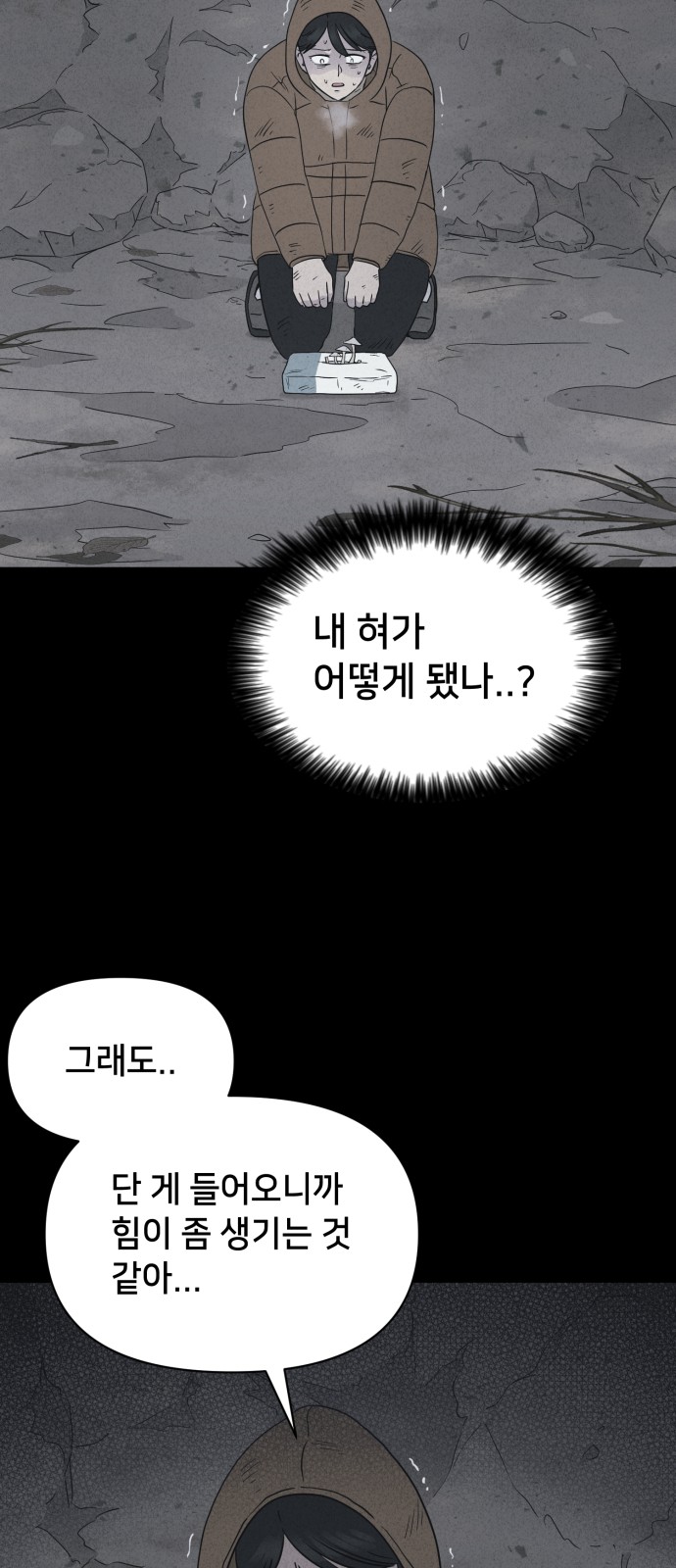 66 페이지