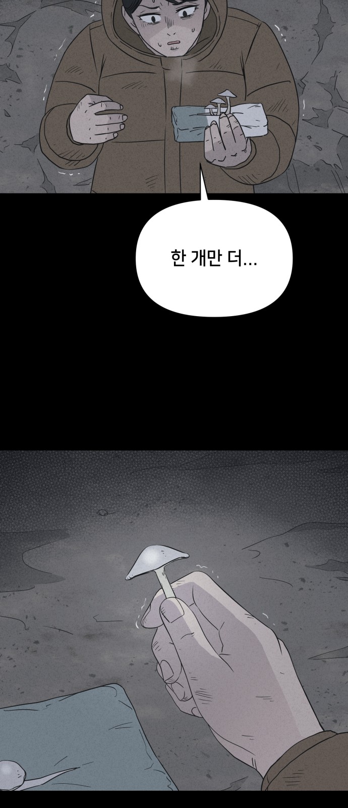 67 페이지
