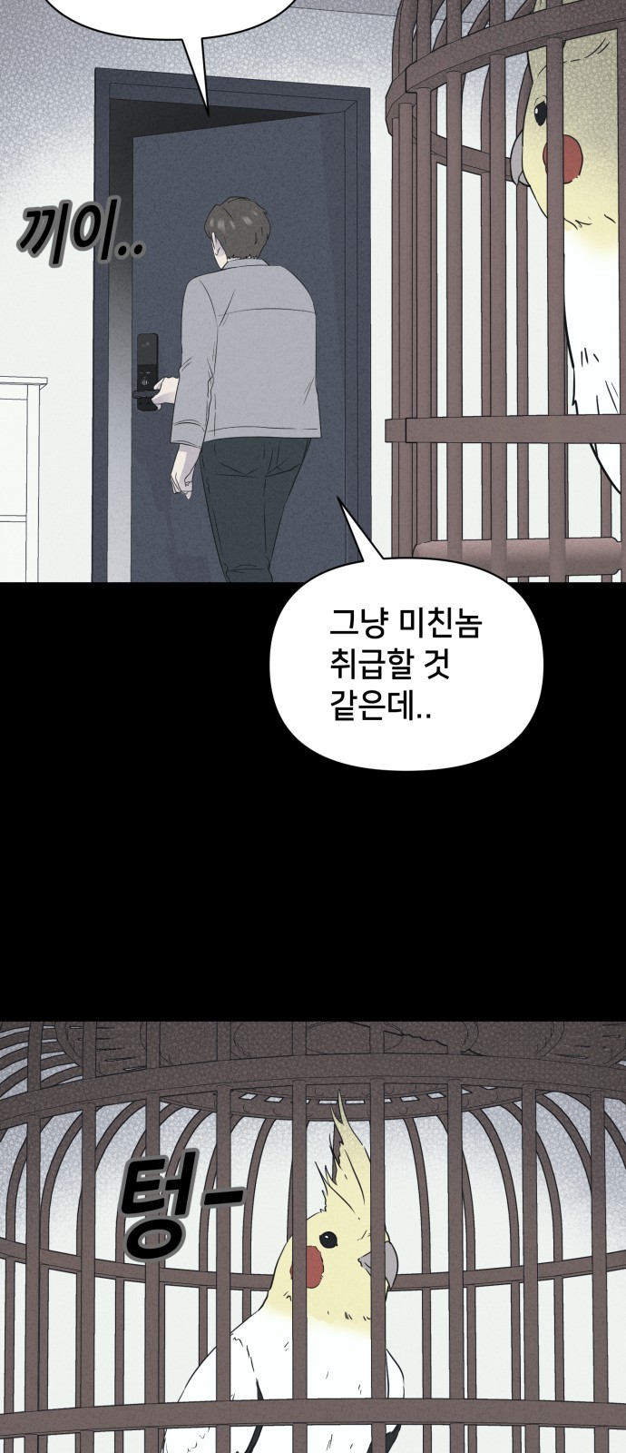 51 페이지