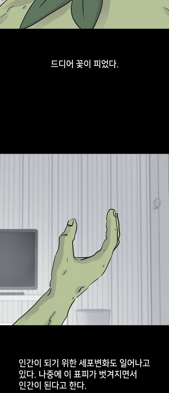 38 페이지