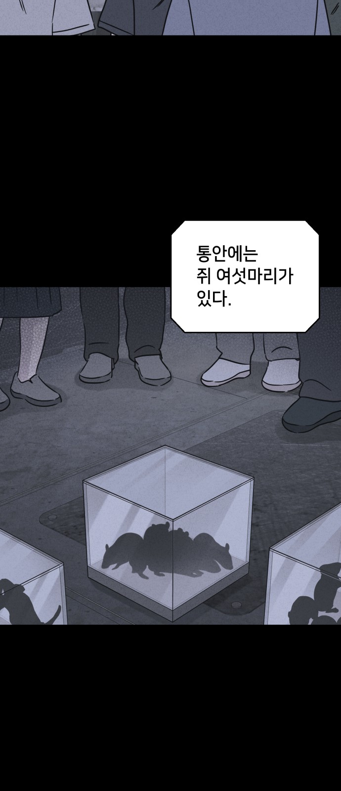 25 페이지