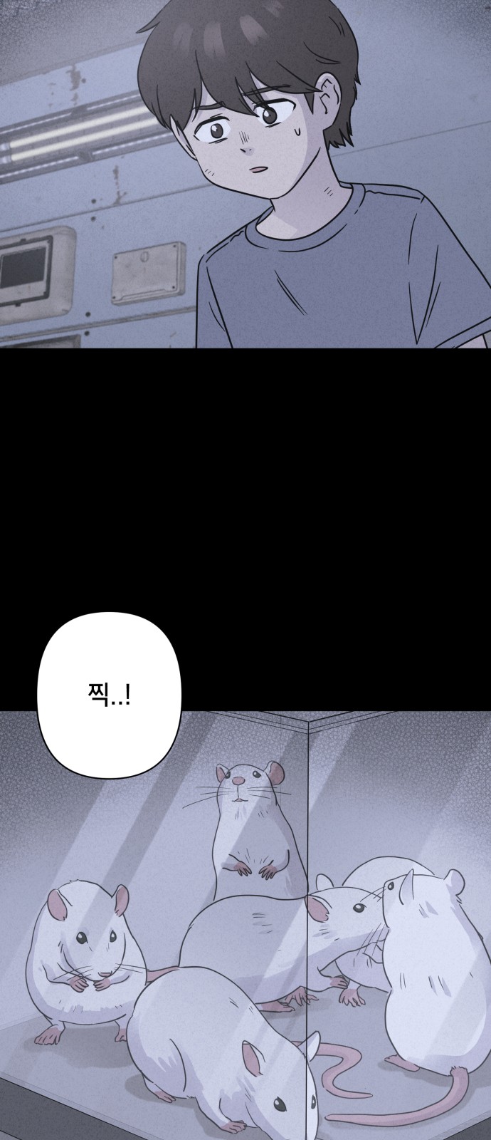 36 페이지