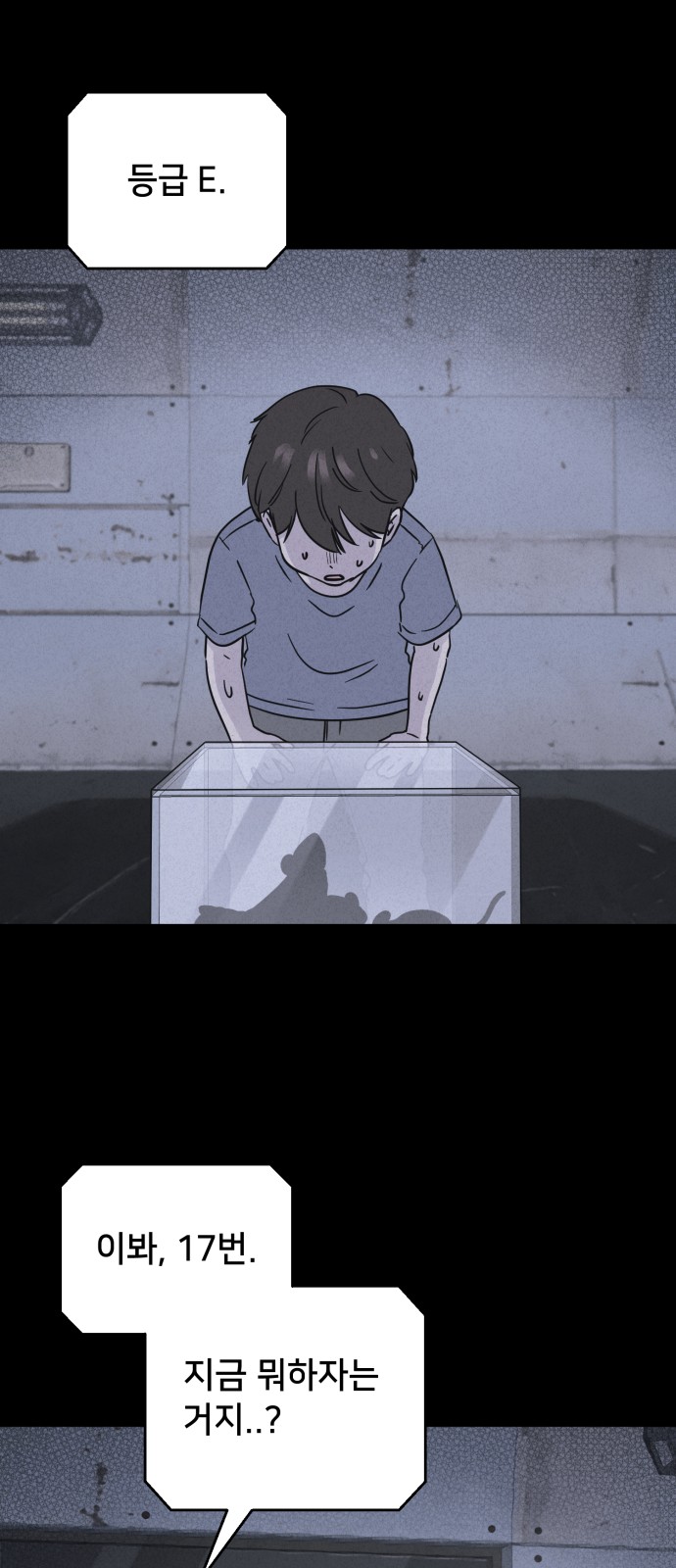 38 페이지