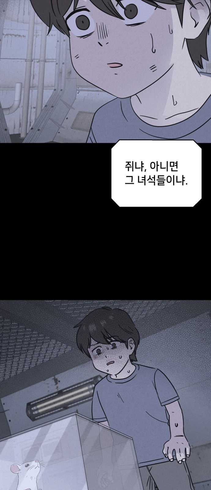 43 페이지
