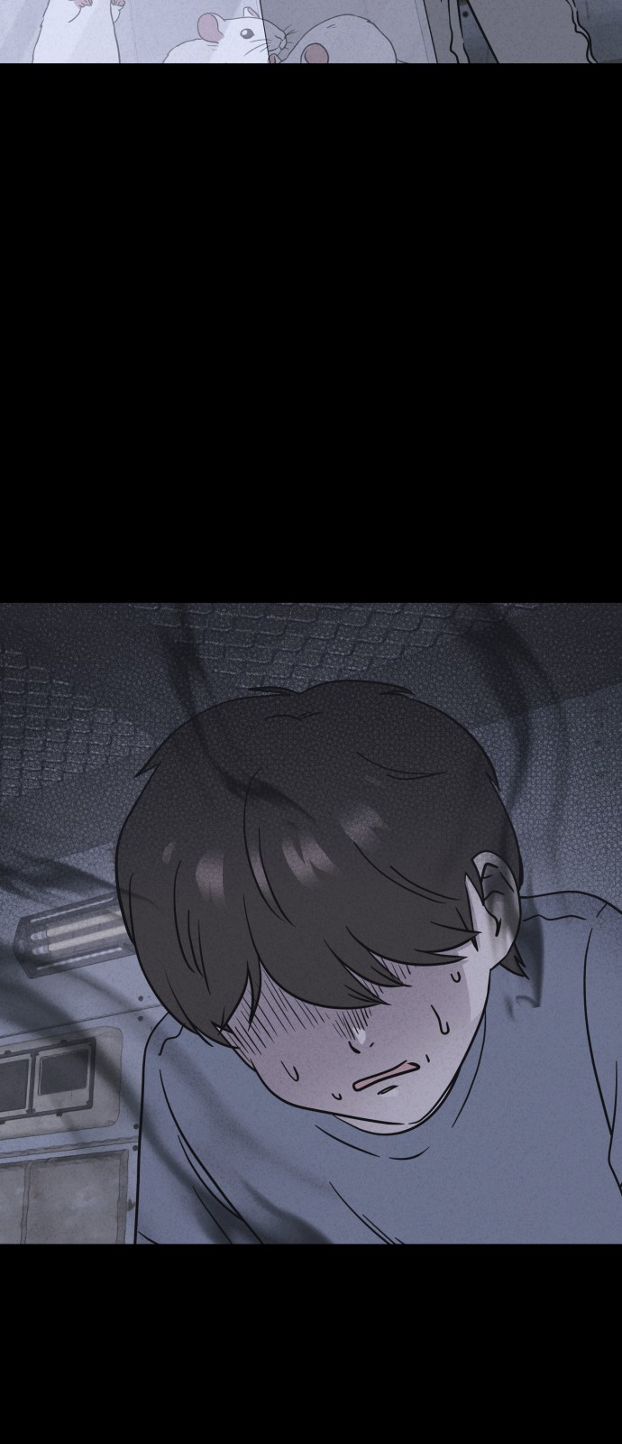 44 페이지