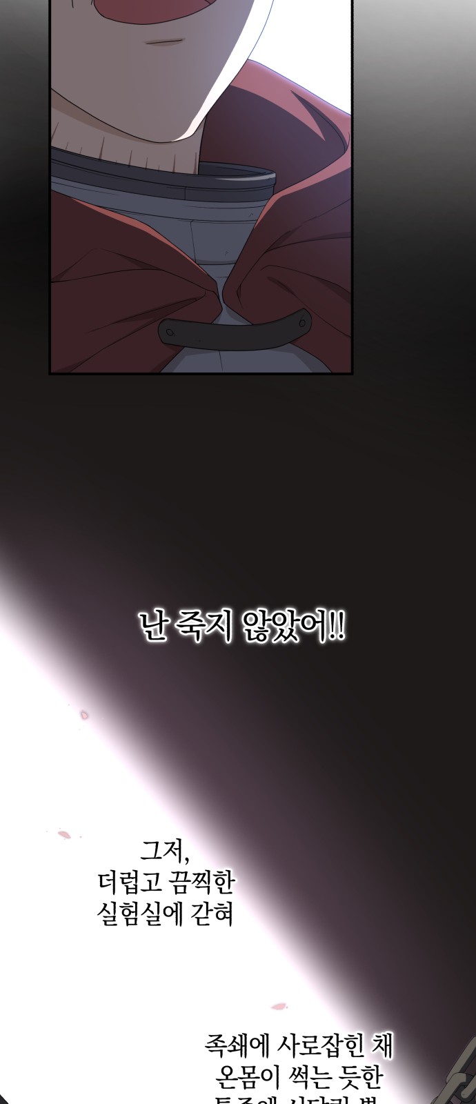 33 페이지
