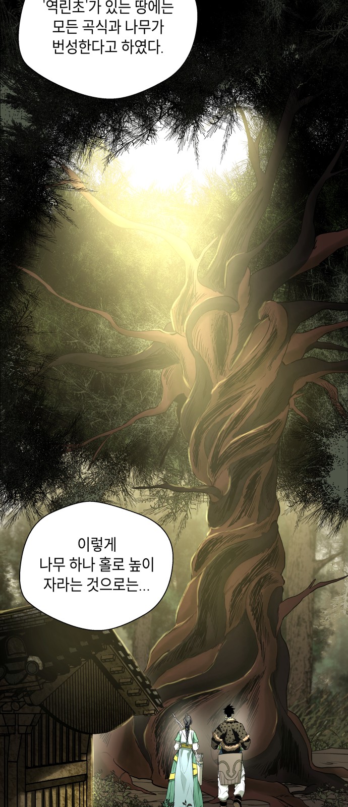 66 페이지