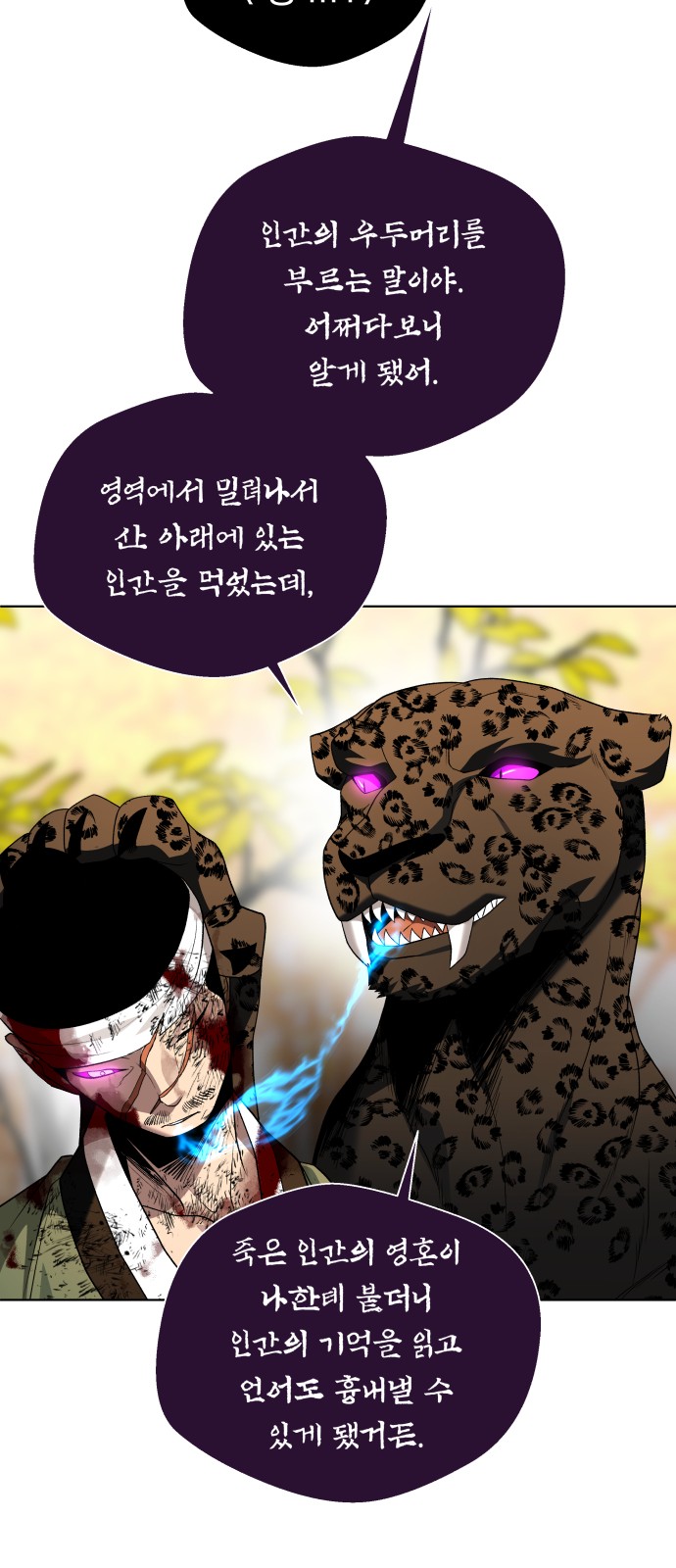 66 페이지