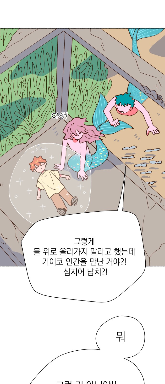 41 페이지