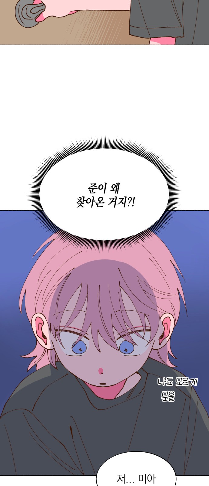46 페이지