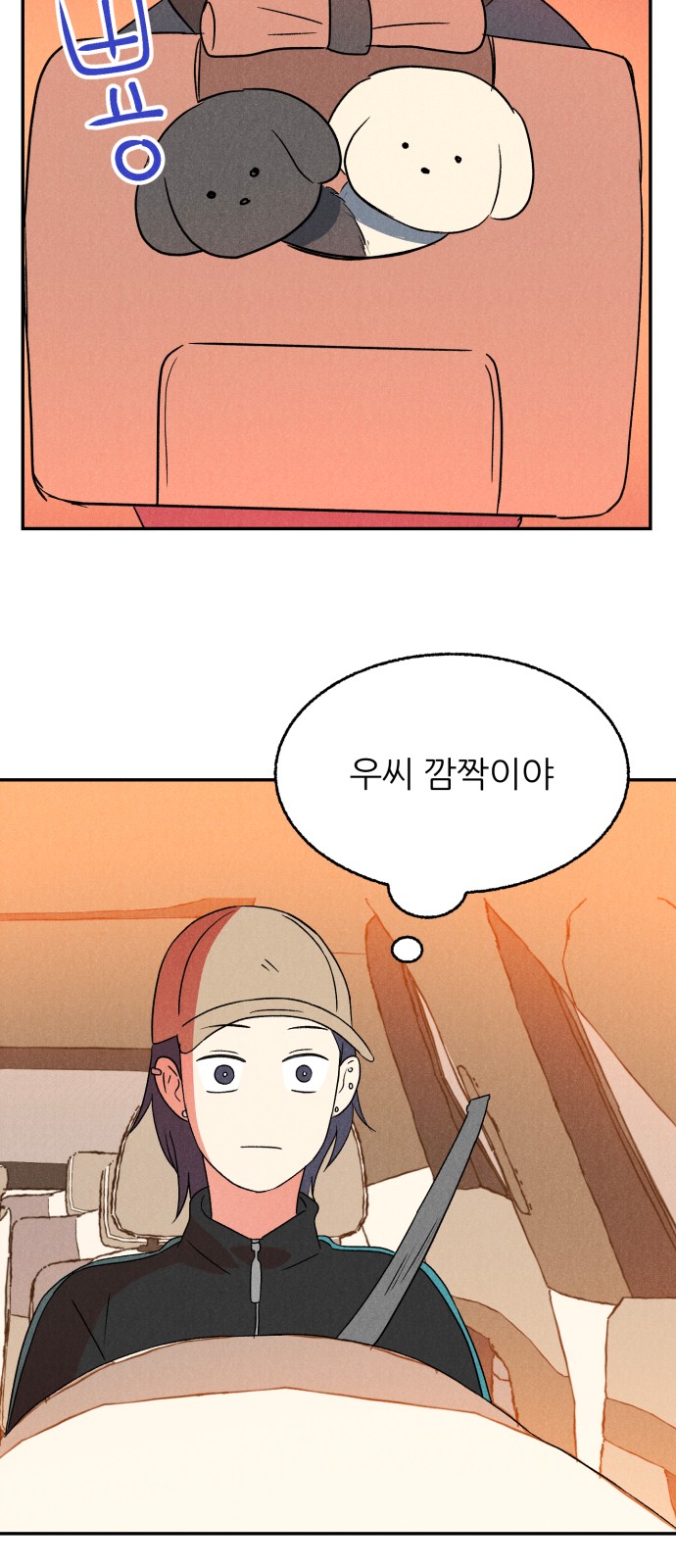 45 페이지