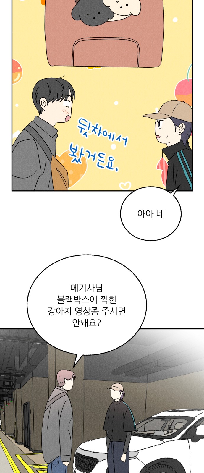 50 페이지
