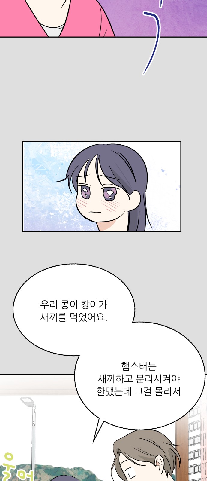 31 페이지