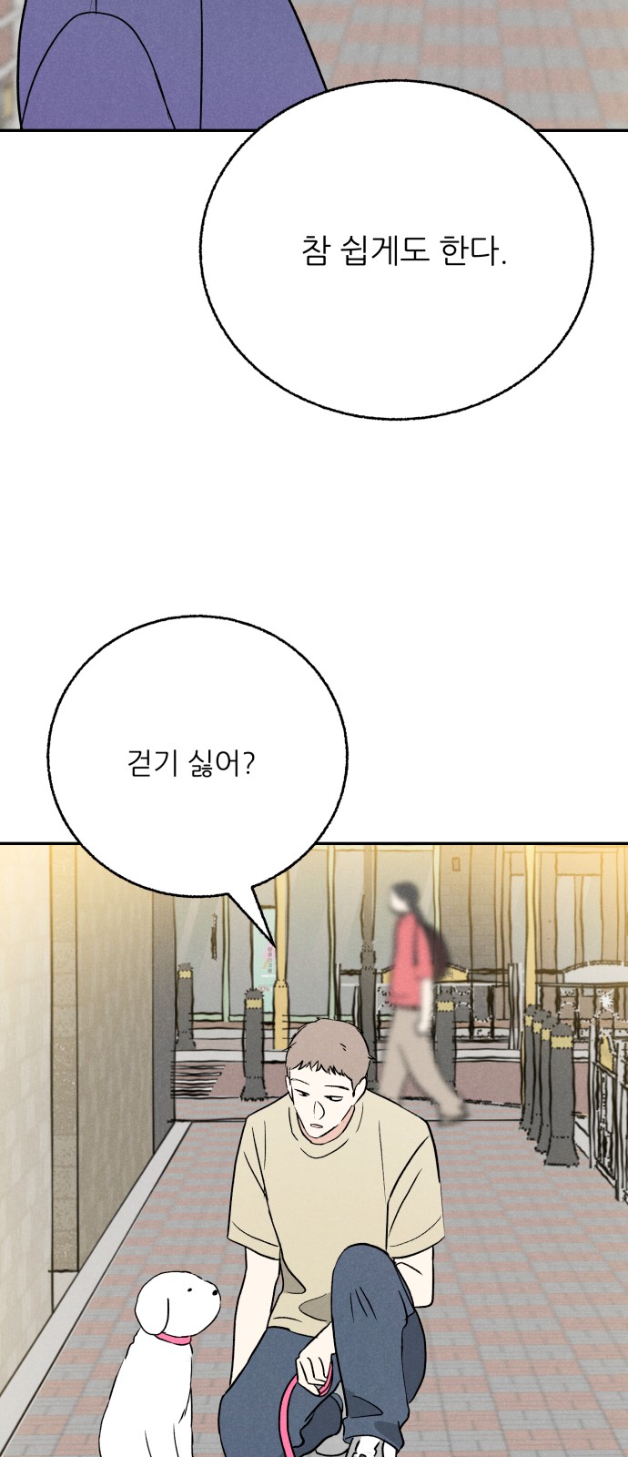29 페이지