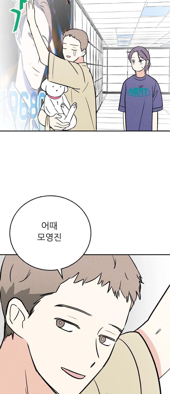 40 페이지