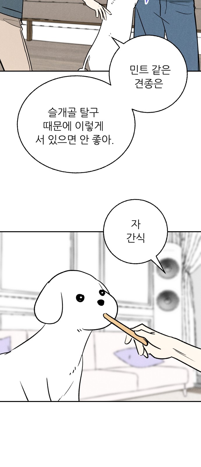 55 페이지