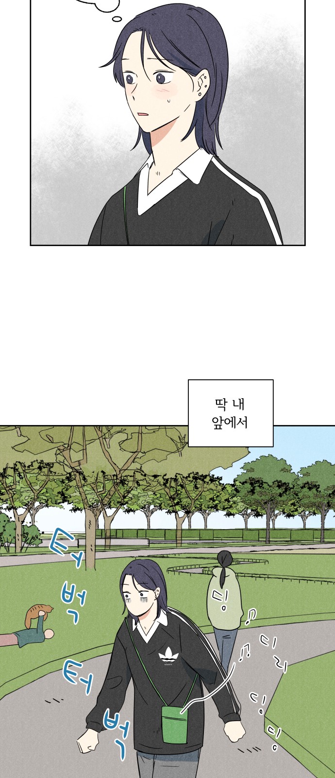 13 페이지