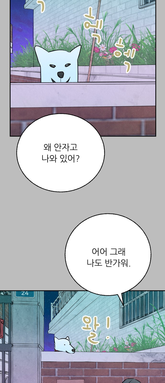 16 페이지