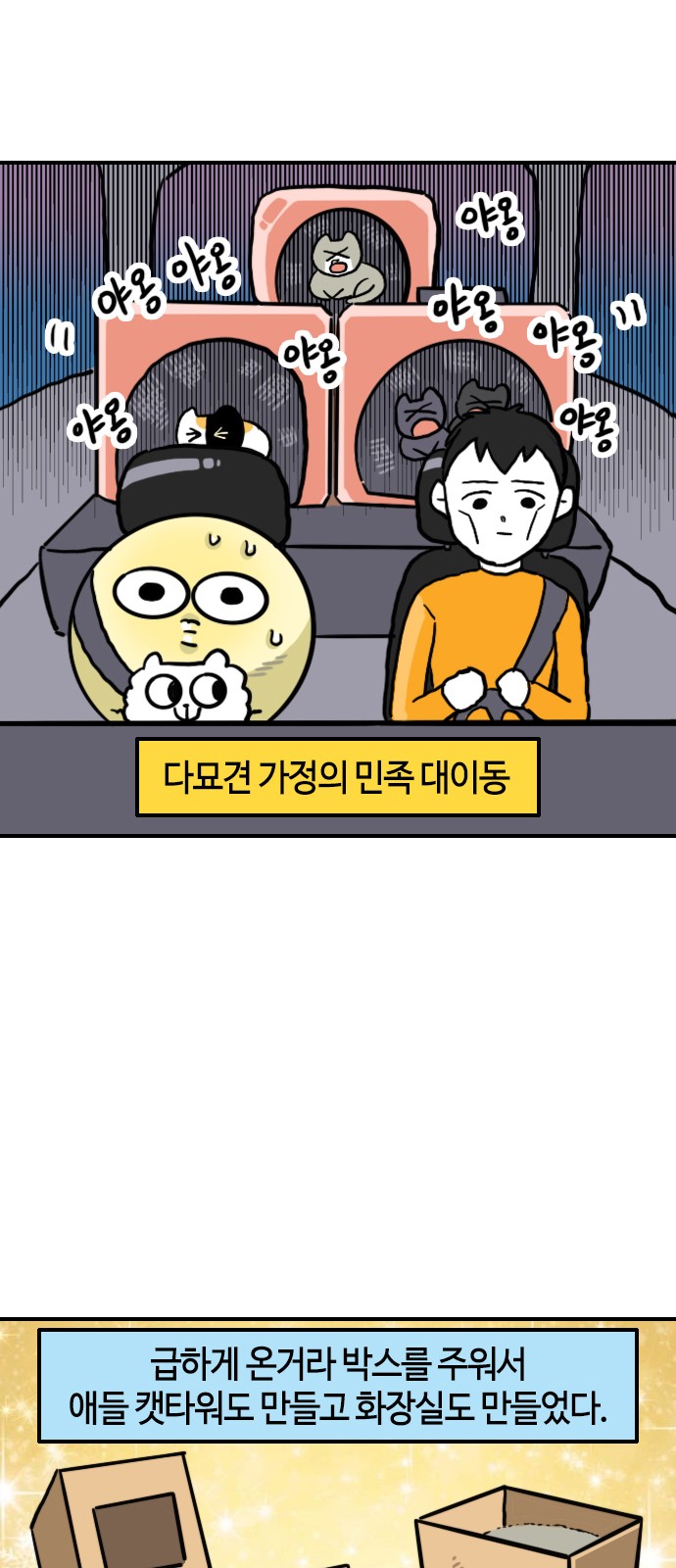 5 페이지