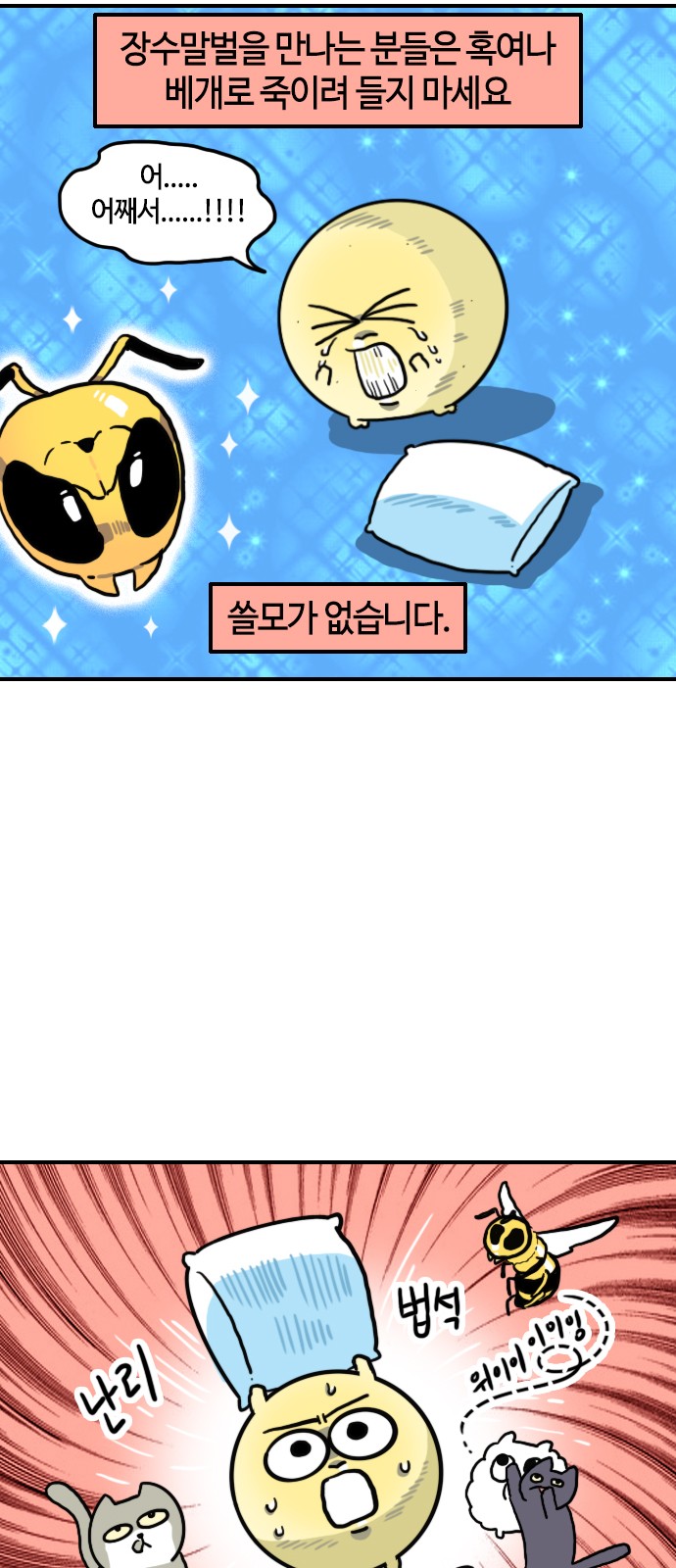 11 페이지
