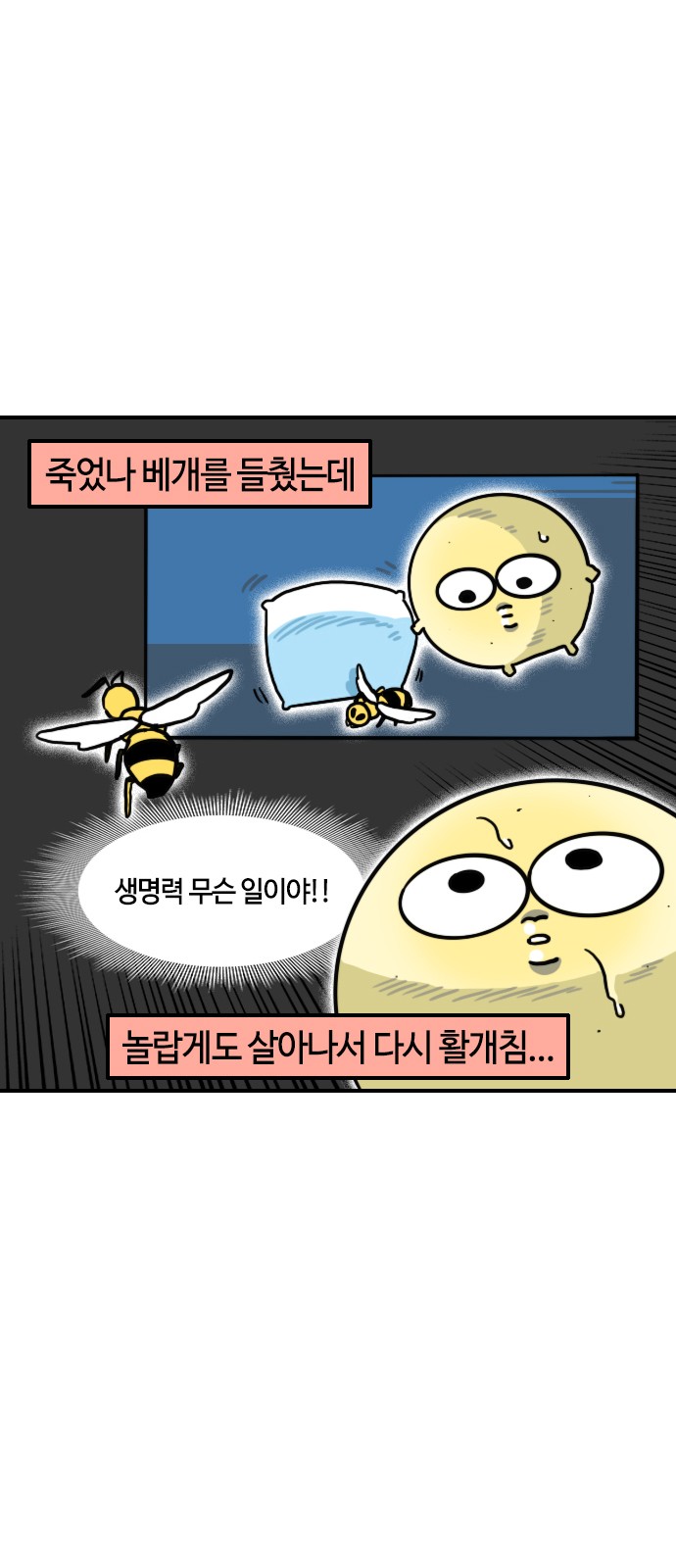 10 페이지