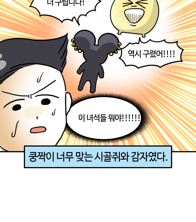 17 페이지