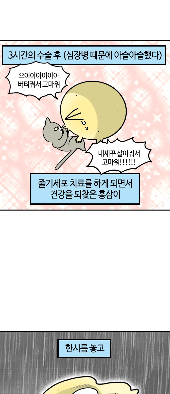5 페이지