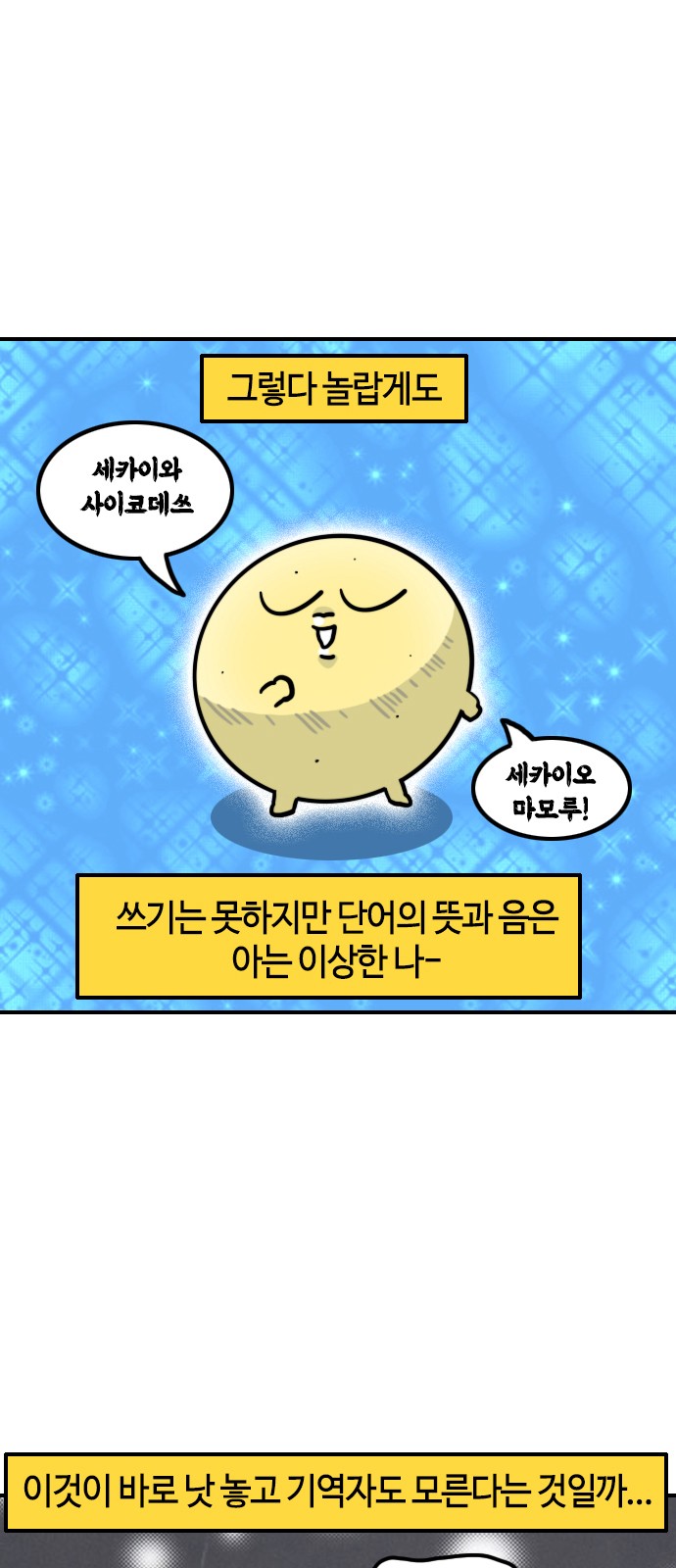 13 페이지