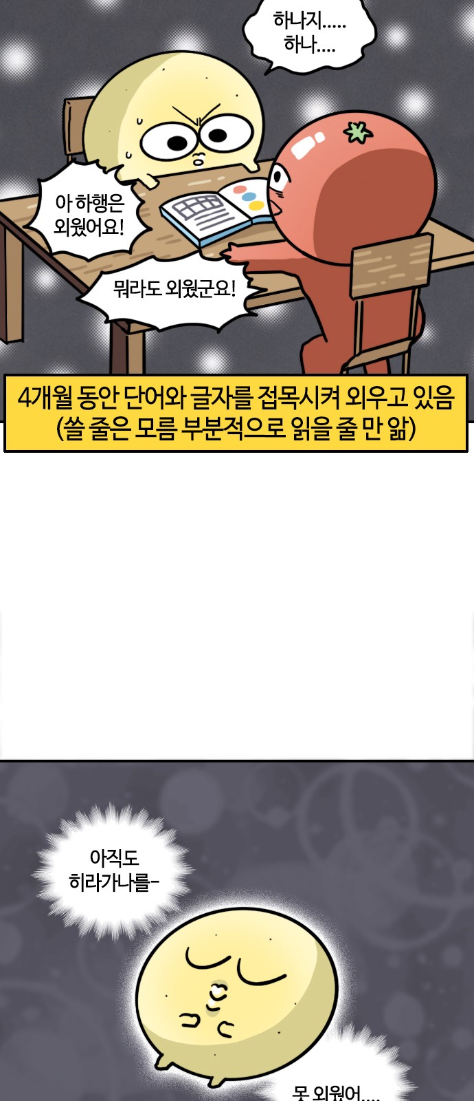 14 페이지