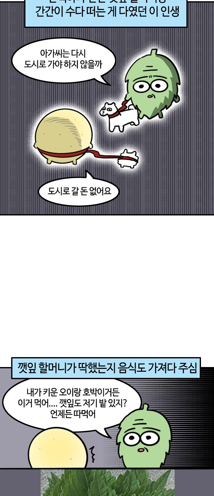 11 페이지