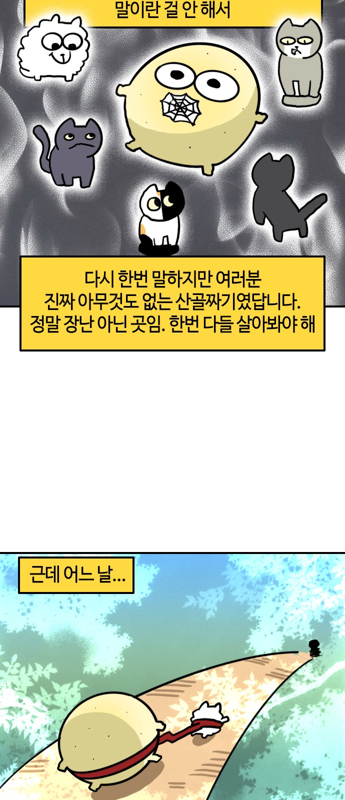 14 페이지