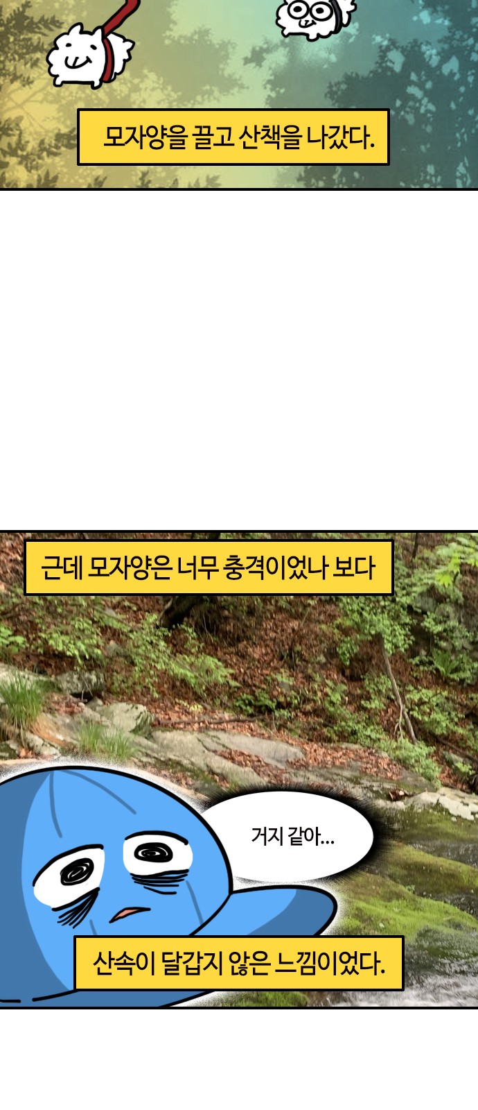 12 페이지
