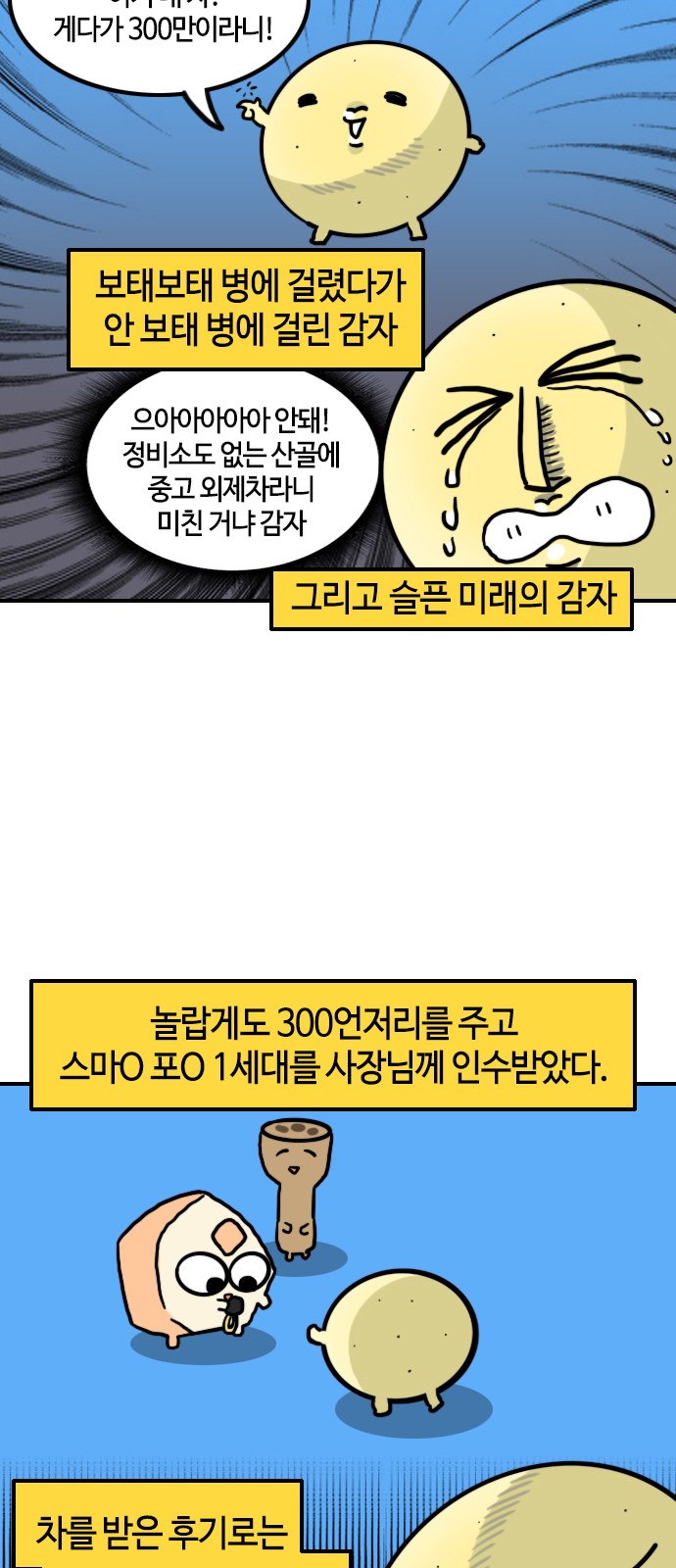 14 페이지