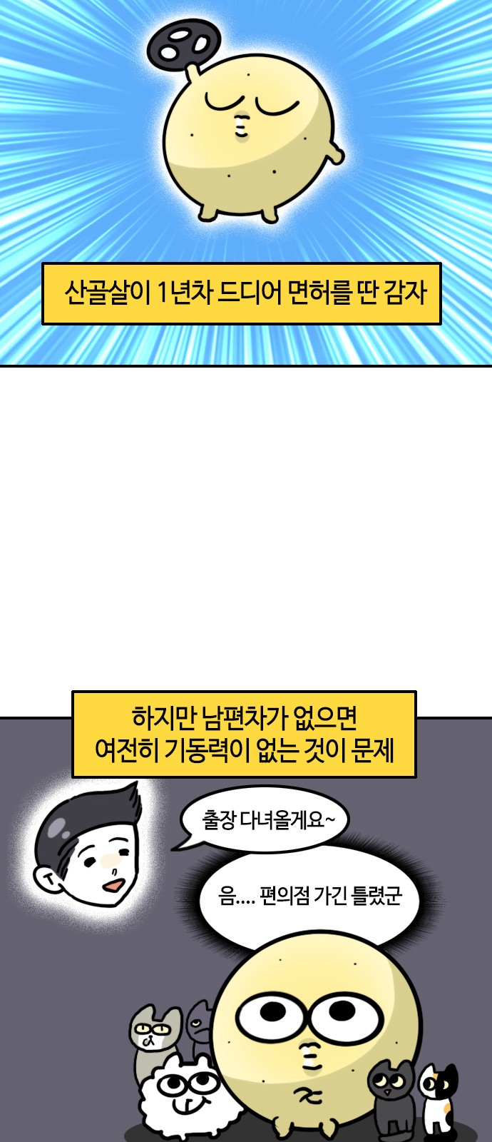 3 페이지