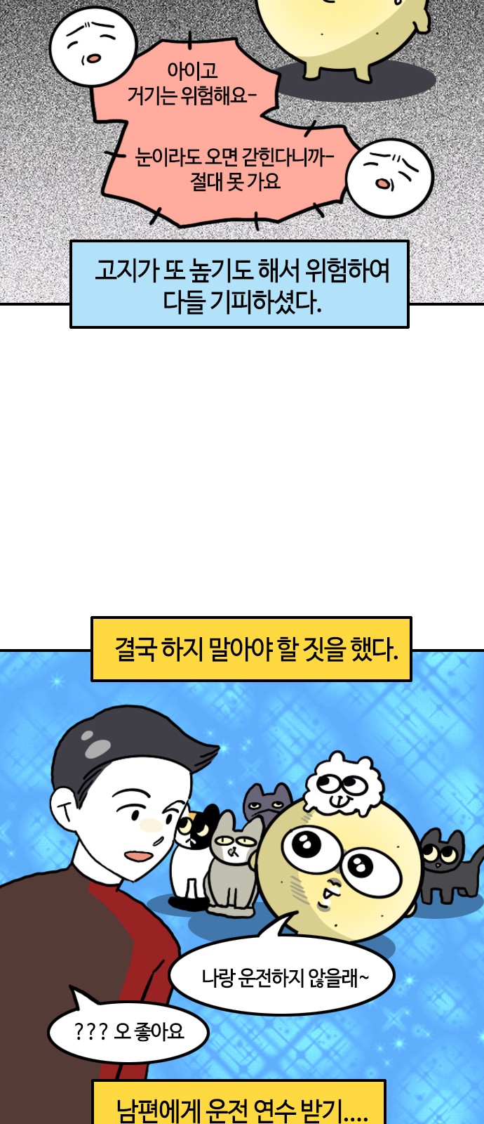 6 페이지