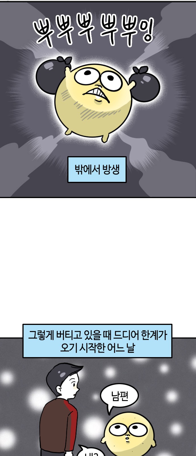 11 페이지