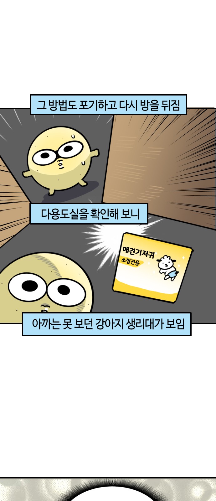 13 페이지