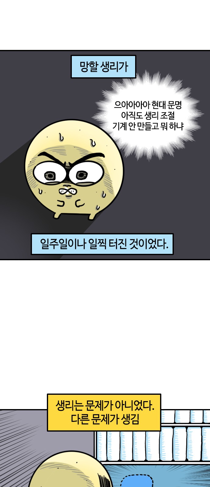 5 페이지