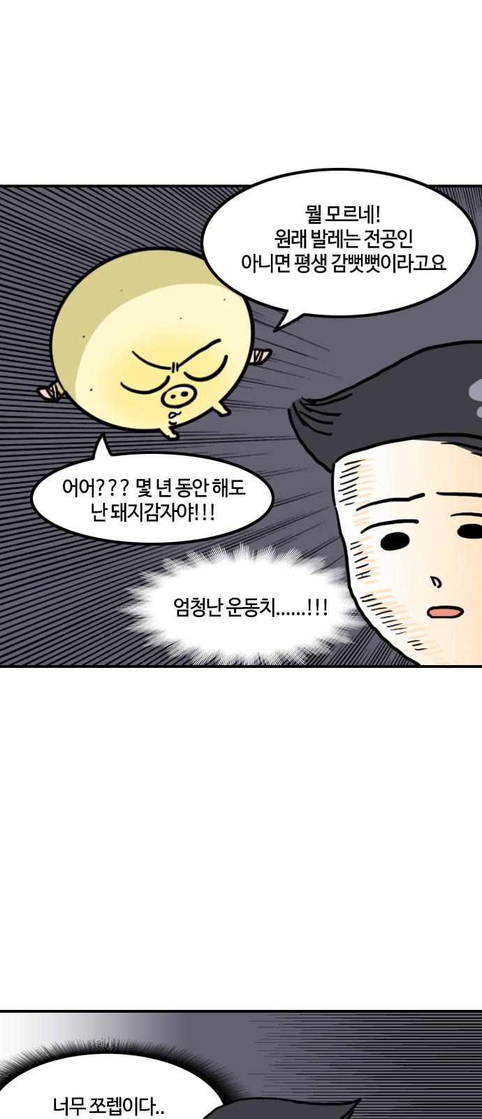 16 페이지