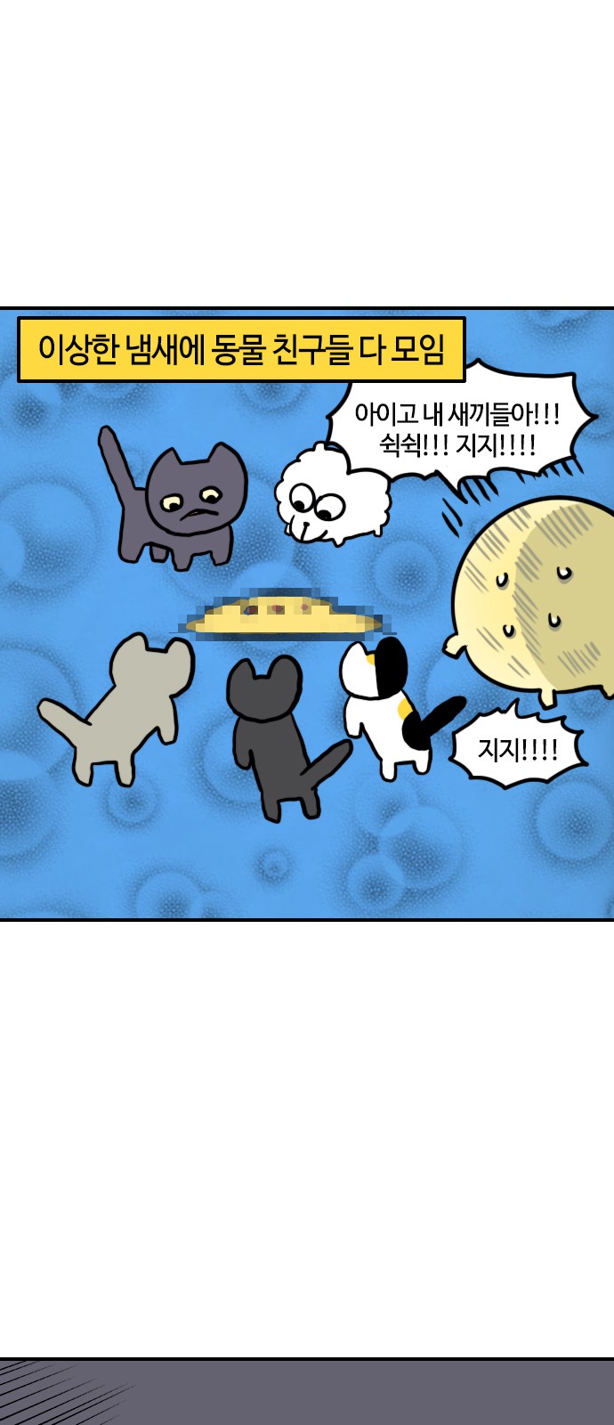 13 페이지