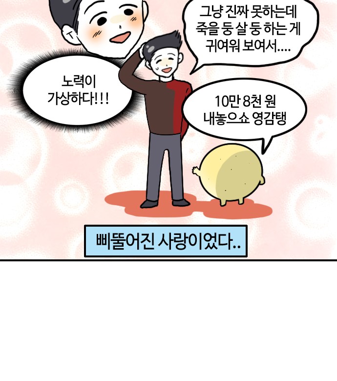 17 페이지