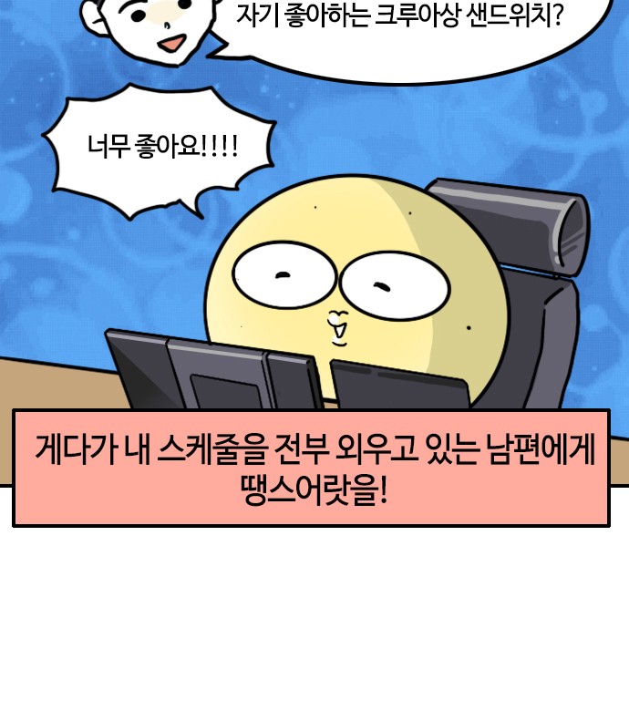 17 페이지