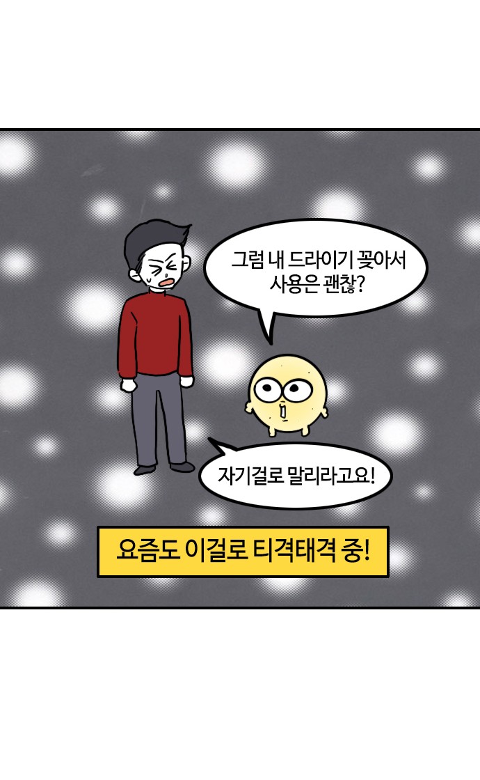 19 페이지